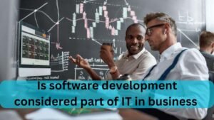 Is software development considered part of IT in business